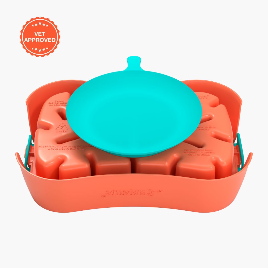 Super Feedy Small 4-in-1 Slow Feeder System