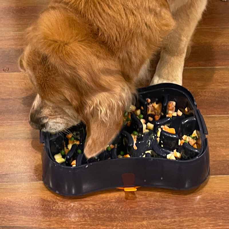 slow feeder dog bowl