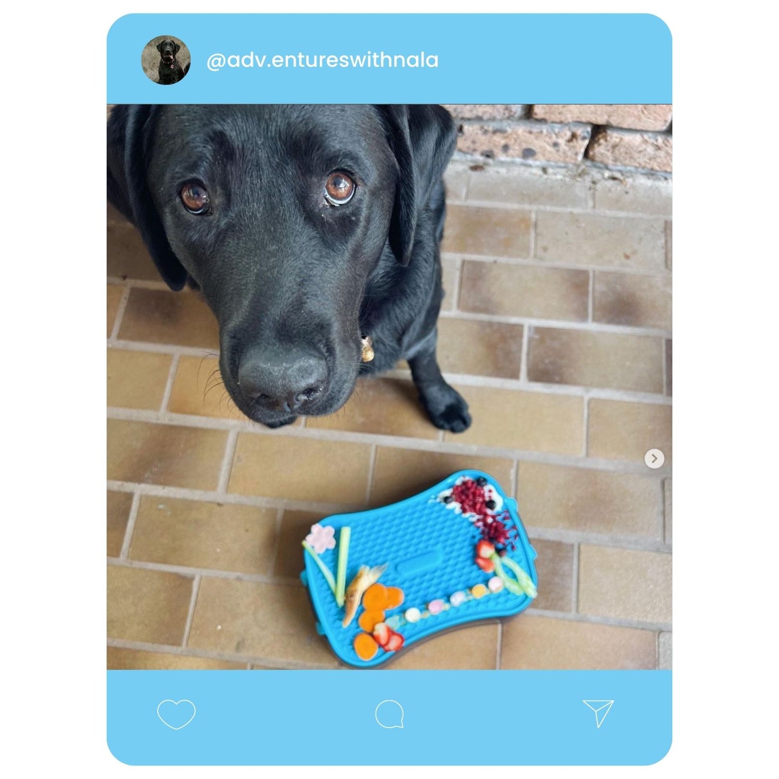 @adv.entureswithnala