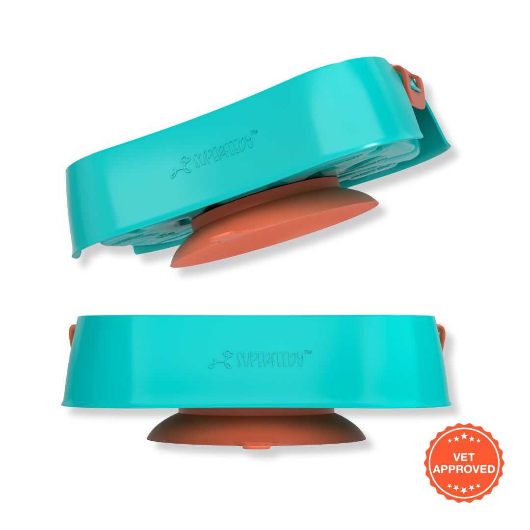 Super Feedy Small 4-in-1 Slow Feeder System