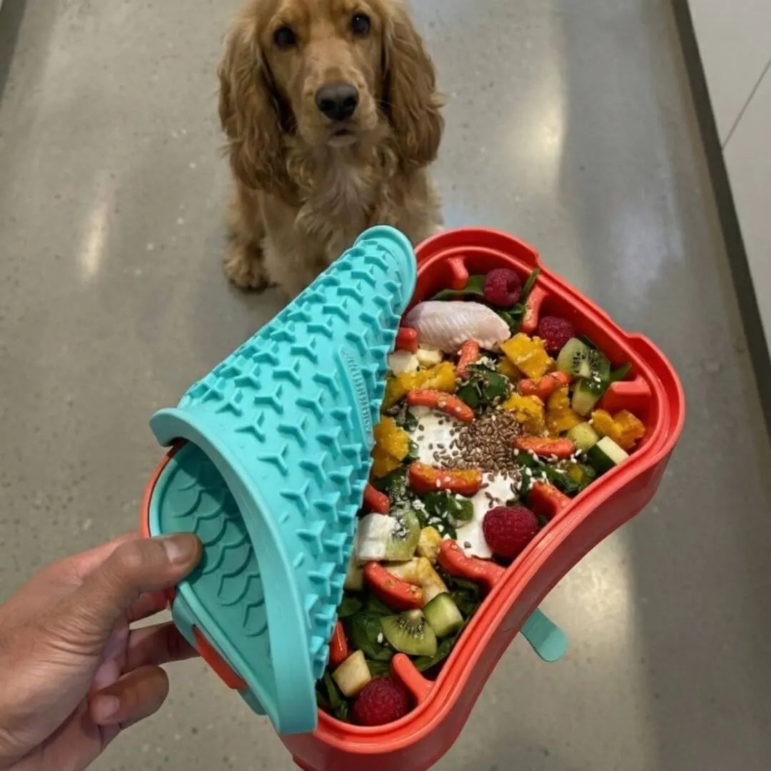 Super Feedy Small 4-in-1 Slow Feeder System Super Feedy