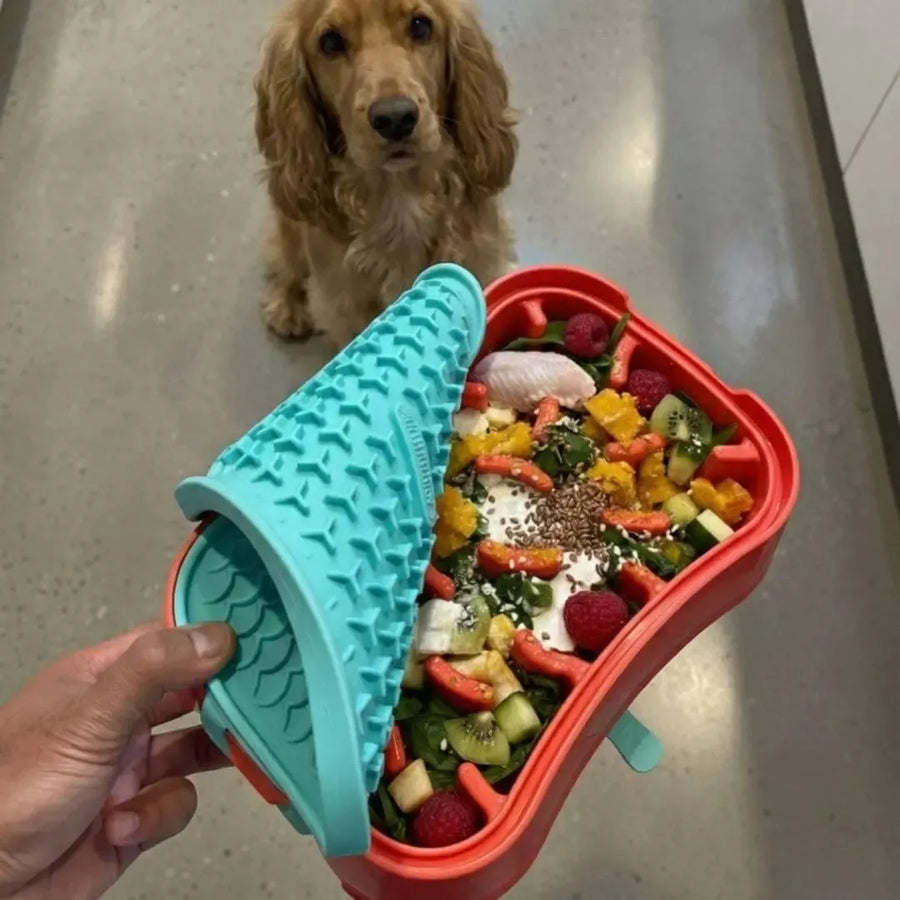 4-in-1 Slow Feeding System for Small Dogs | Super Feedy