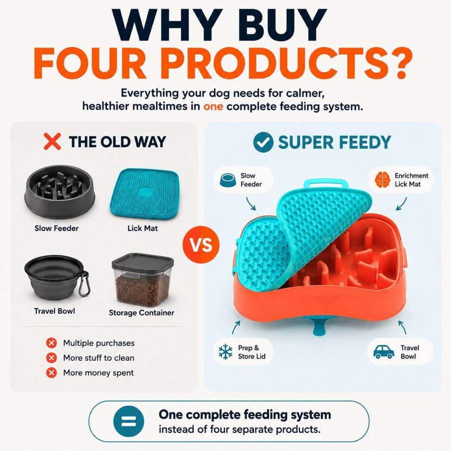 4-in-1 Slow Feeding System | Super Feedy