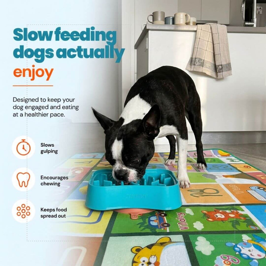 Slow Feeder Bowl for Small Dogs | Super Feedy