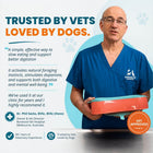 Reversible Dog Lick Mat for Small Dogs | Super Feedy