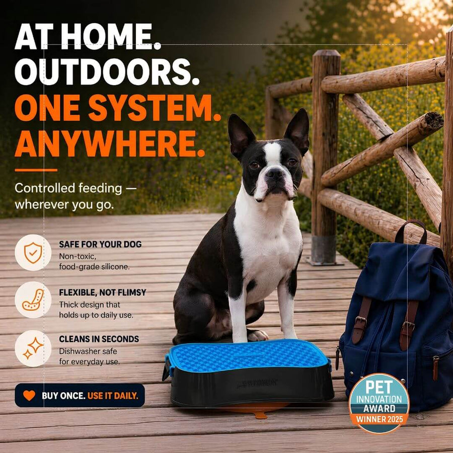 Reversible Dog Lick Mat for Small Dogs | Super Feedy