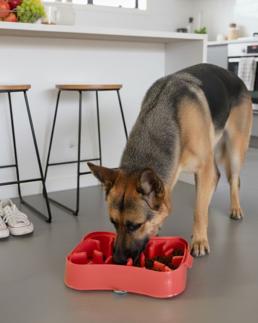 Dog eating from a red slow feeder bowl in a kitchen.