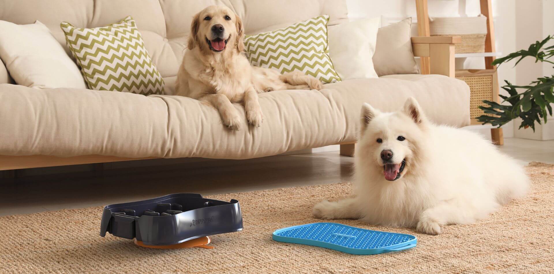 Super Feedy Dogs At Home with SLow Feeder Dog Bowl and Lick Mat