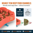 4-in-1 Slow Feeding System | Super Feedy