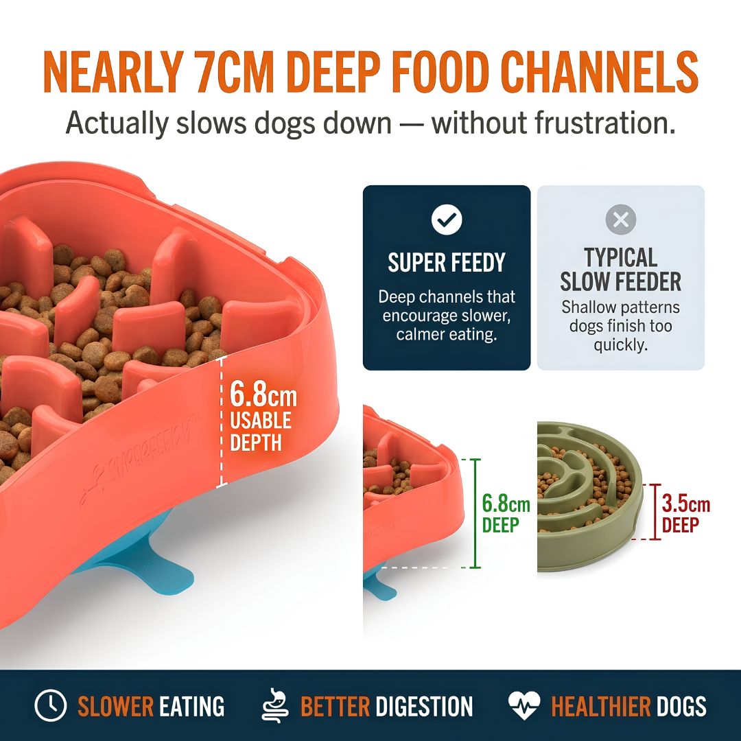 4-in-1 Slow Feeder Dog Bowl System | Super Feedy