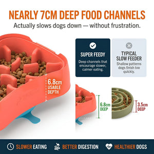 4-in-1 Slow Feeder Dog Bowl System | Super Feedy