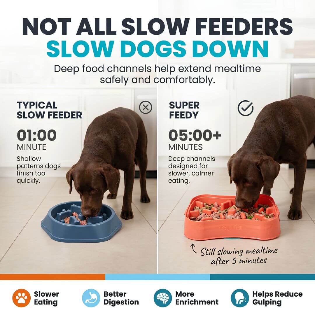4-in-1 Slow Feeder Dog Bowl System | Super Feedy