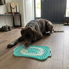 4-in-1 Slow Feeding System | Super Feedy