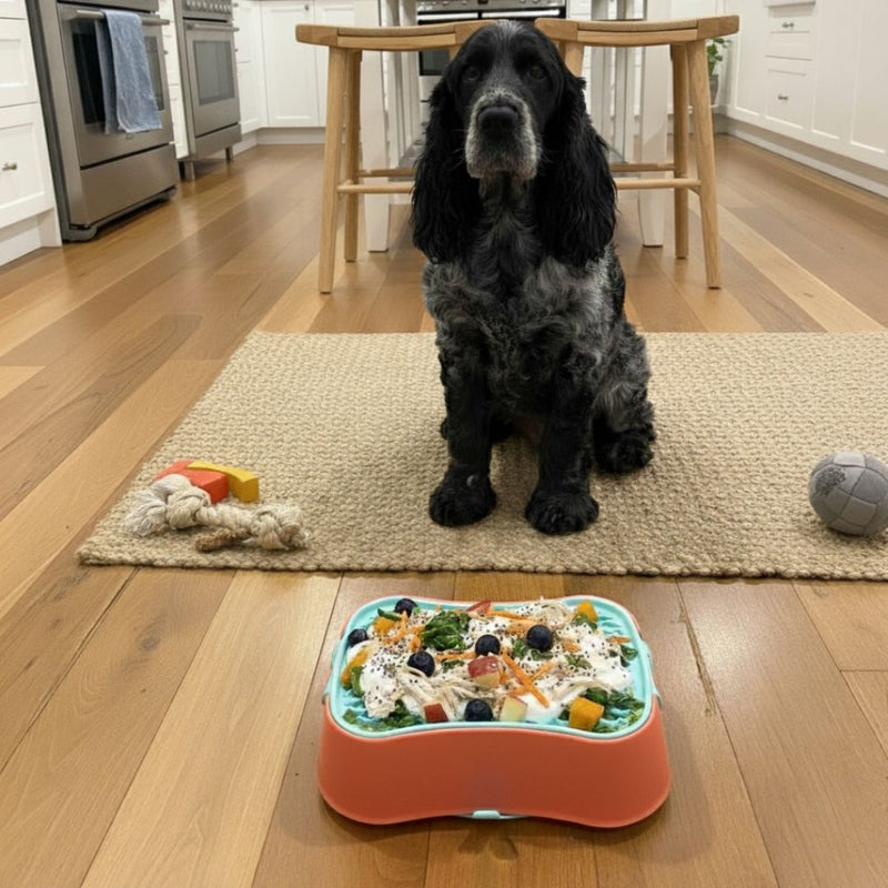 multicolumns-item-image-5