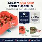 4-in-1 Slow Feeding System for Small Dogs | Super Feedy
