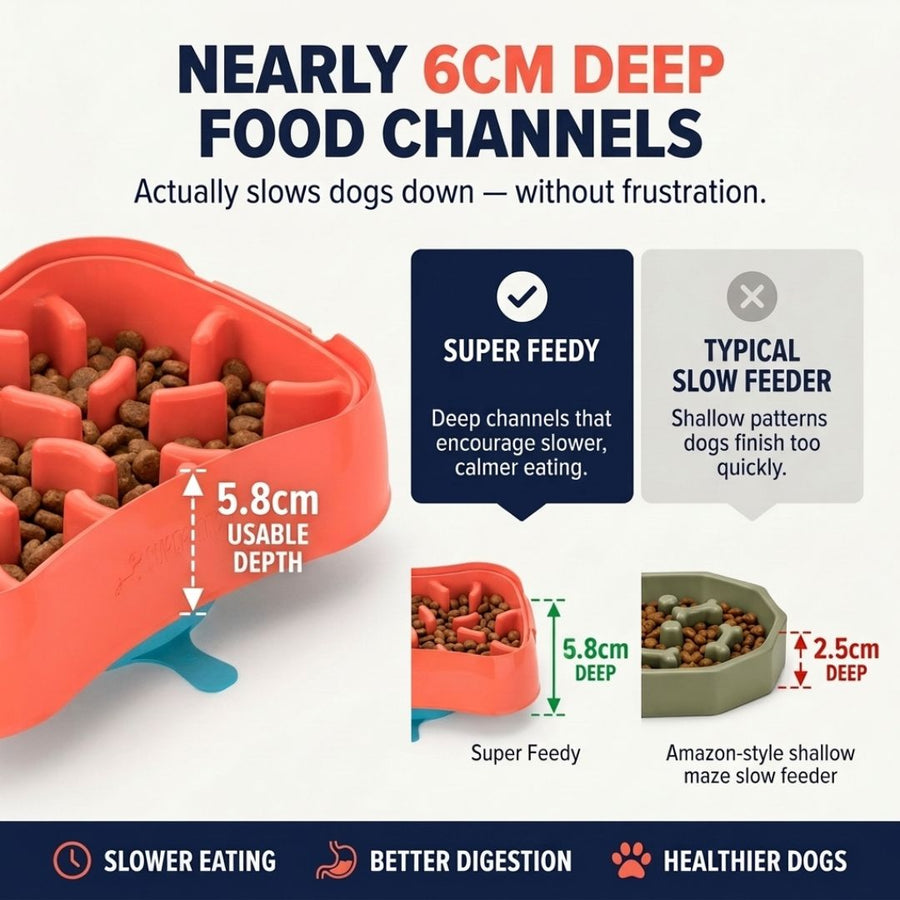 4-in-1 Slow Feeding System for Small Dogs | Super Feedy