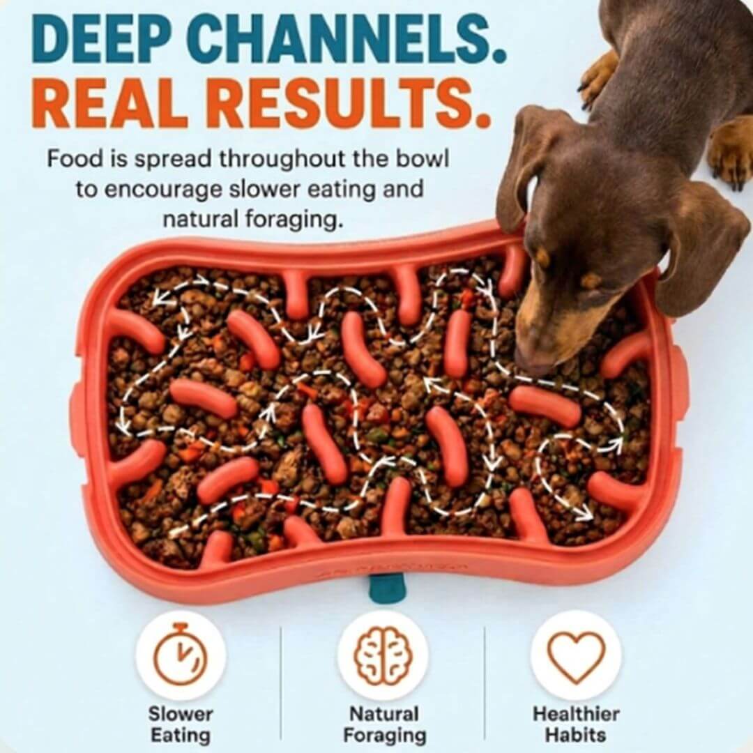 Product lifestyle image