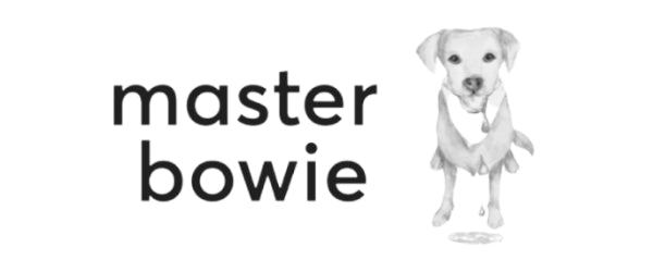 master bowie logo