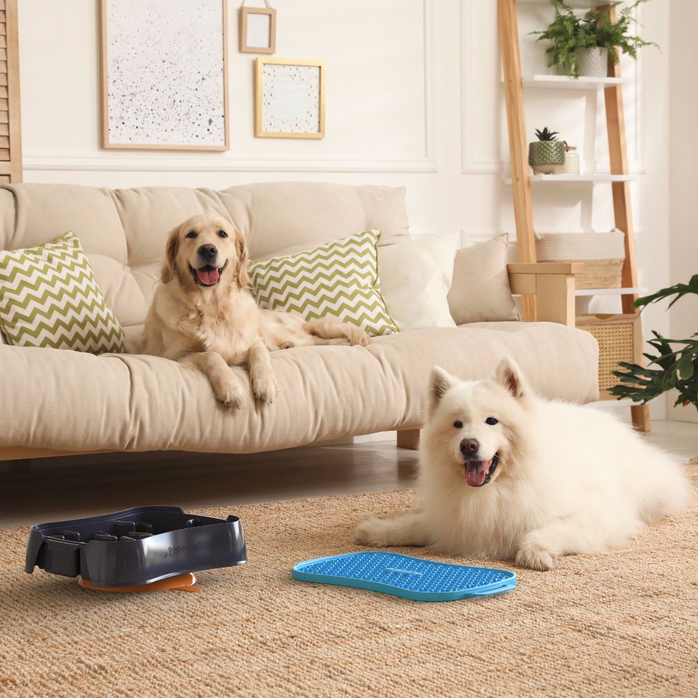 Super Feedy Dogs with Super Feedy 4-in-1 Slow Feeder