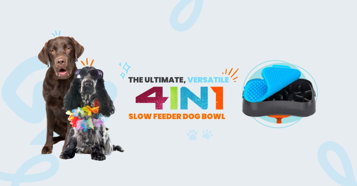 Slow Feeder Dog Bowl | Vet-Endorsed 4-in-1 System | Super Feedy