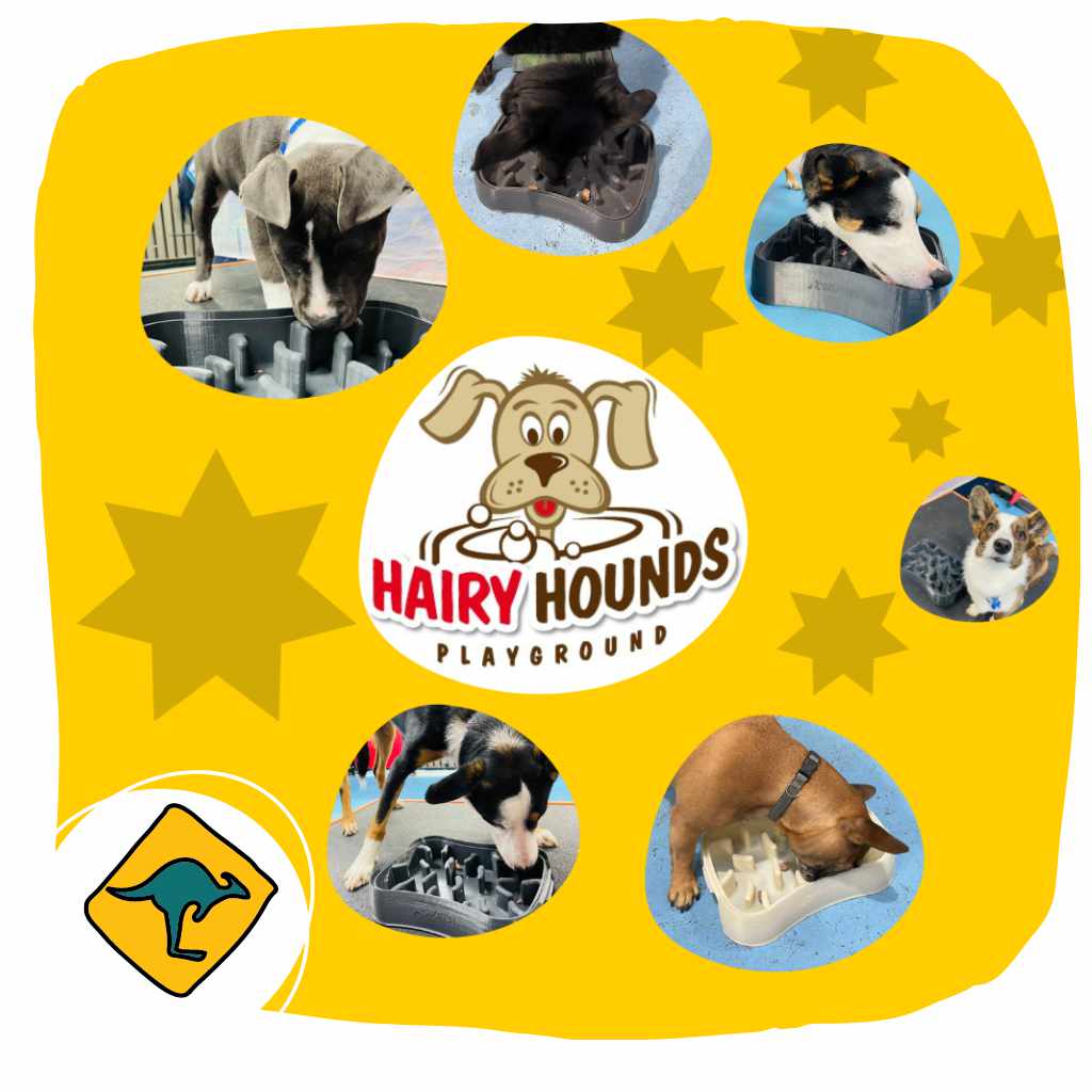 Hairy Hounds Playground dog logo and images of dogs testing Super Feedy Slow Feeder Bowls