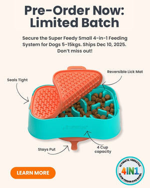 Super Feedy Small 4-in-1 Slow Feeder System
