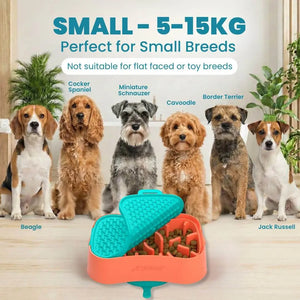 Super Feedy Small 4-in-1 Slow Feeder System Super Feedy