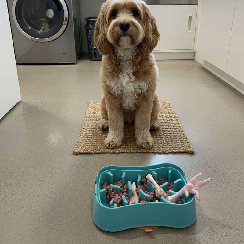 multicolumns-item-image-1