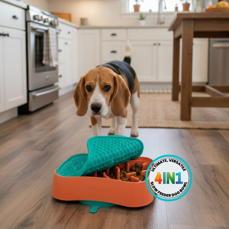 multicolumns-item-image-2