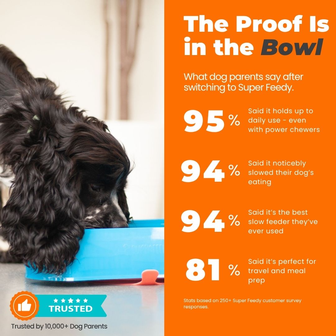 Dog using a blue bowl with Super Feedy branding and customer feedback statistics on an orange background.