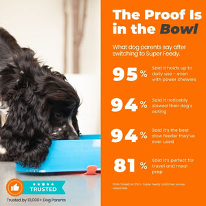 Dog using a blue bowl with Super Feedy branding and customer feedback statistics on an orange background.