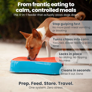 Slow Feeder Dog Bowl 4-in-1 | Super Feedy