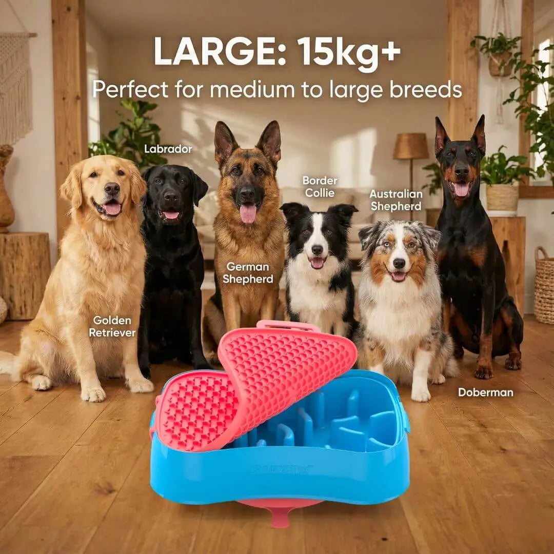 Super Feedy 4-in-1 Slow Feeder Dog Bowl System Super Feedy