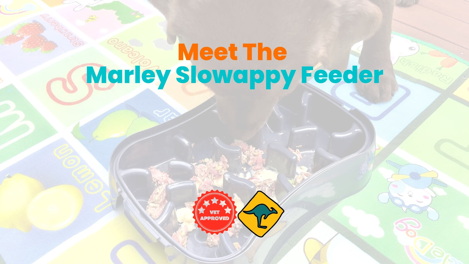 Meet the Marley Slowappy Feeder