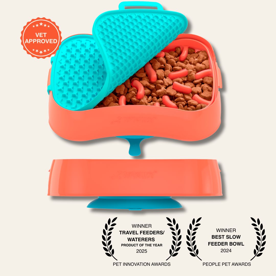 Super Feedy slow feeder with teal lick mat and orange slow feeder, filled with kibble, on a light gray background.