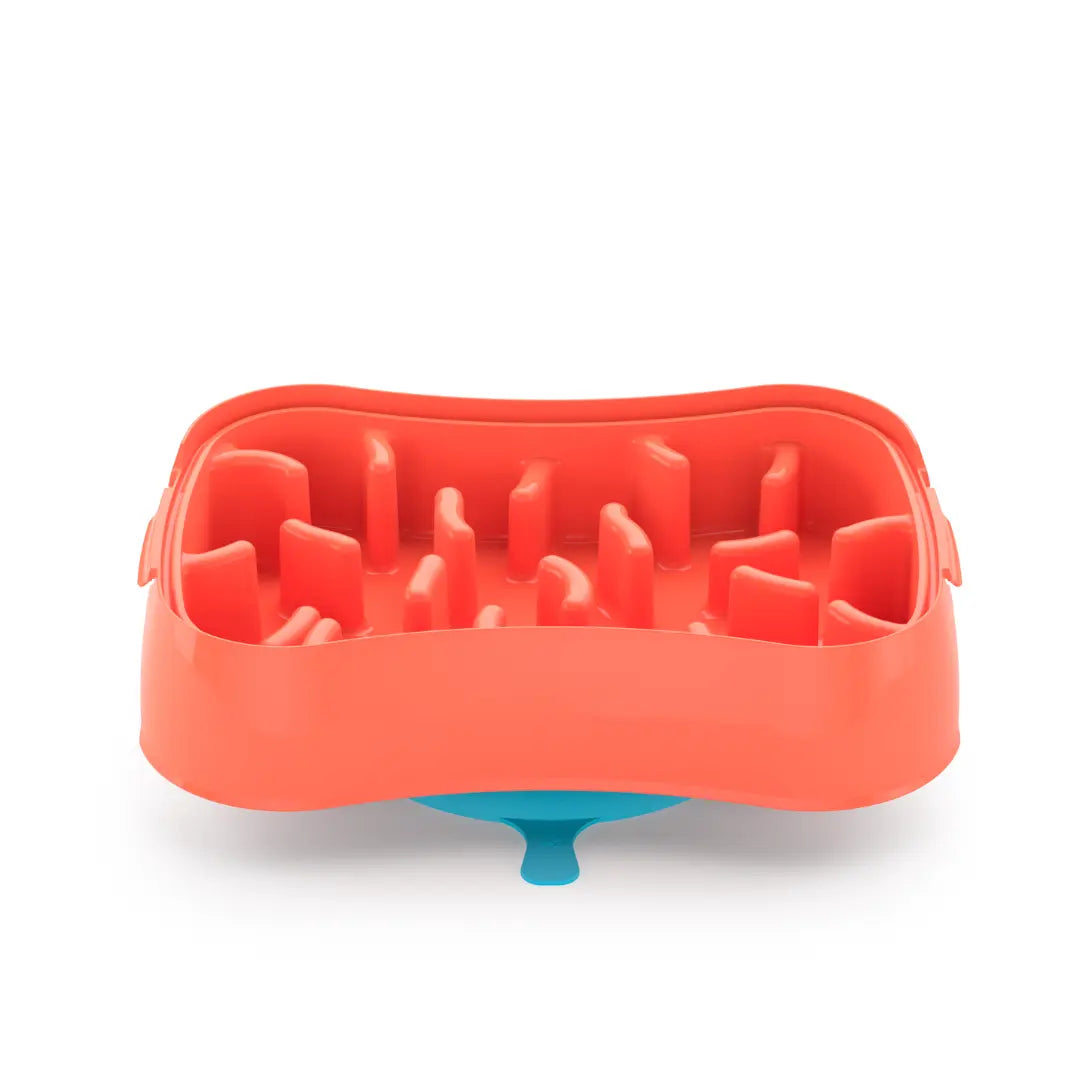 4-in-1 Slow Feeder Dog Bowl - Super Feedy