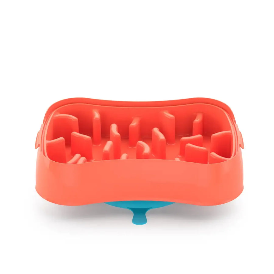 4-in-1 Slow Feeder Dog Bowl (Modalyst)