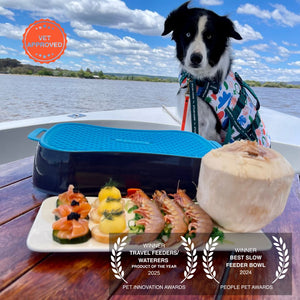Dog on a boat with a tray of food and awards displayed