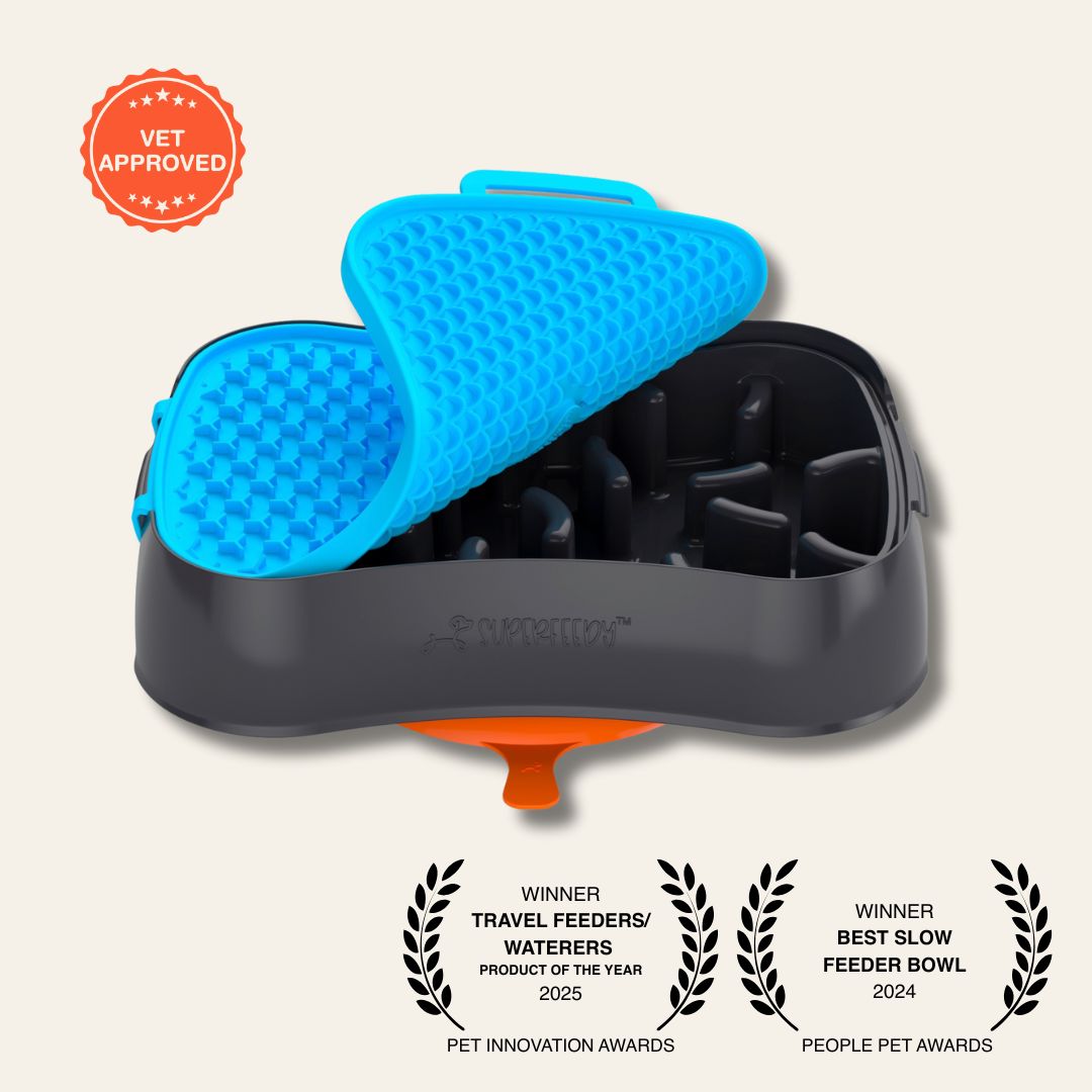 4-in-1 Slow Feeder Dog Bowl