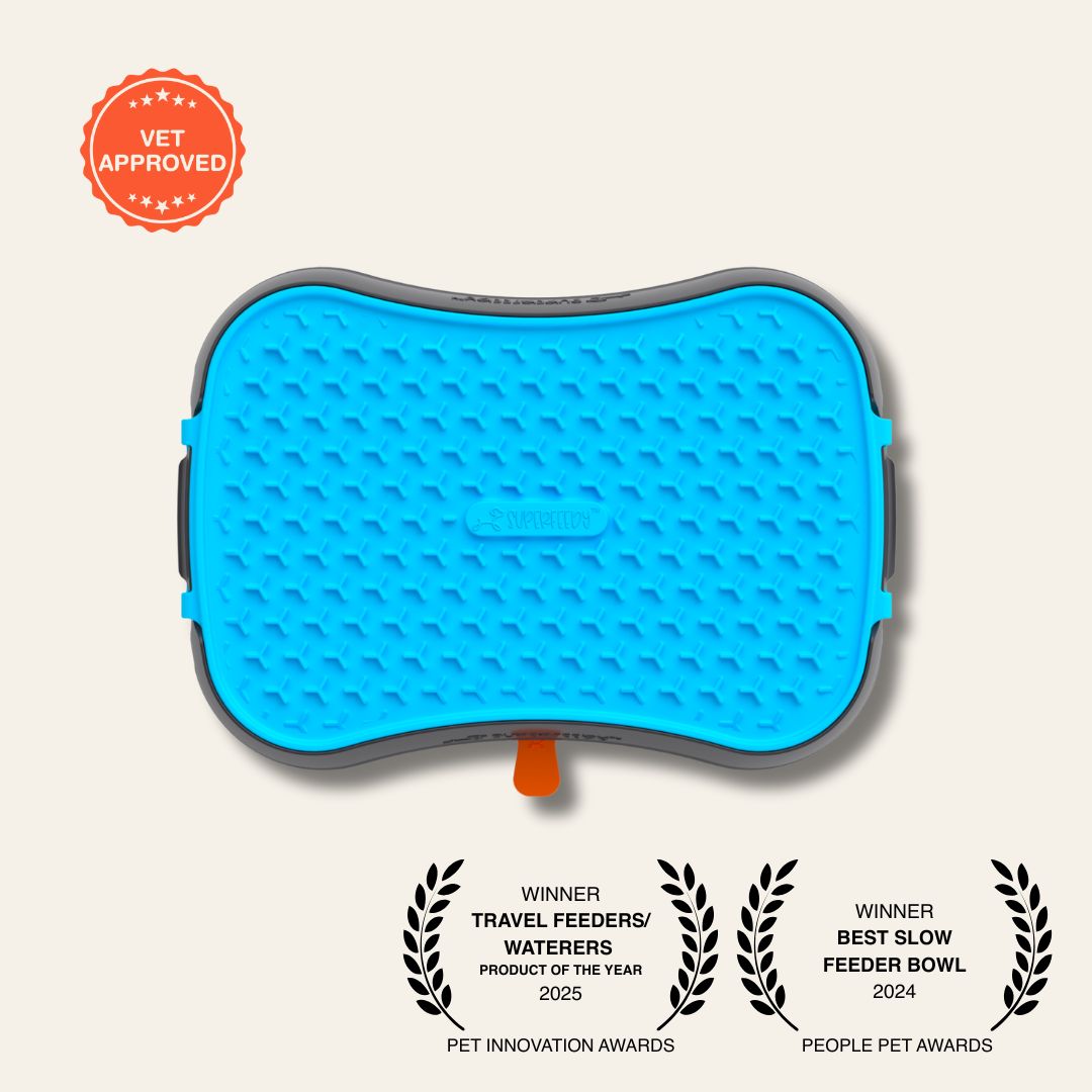 Super_Feedy_Grey Slow Feeder Bowl with Blue Reversible Lick Mat