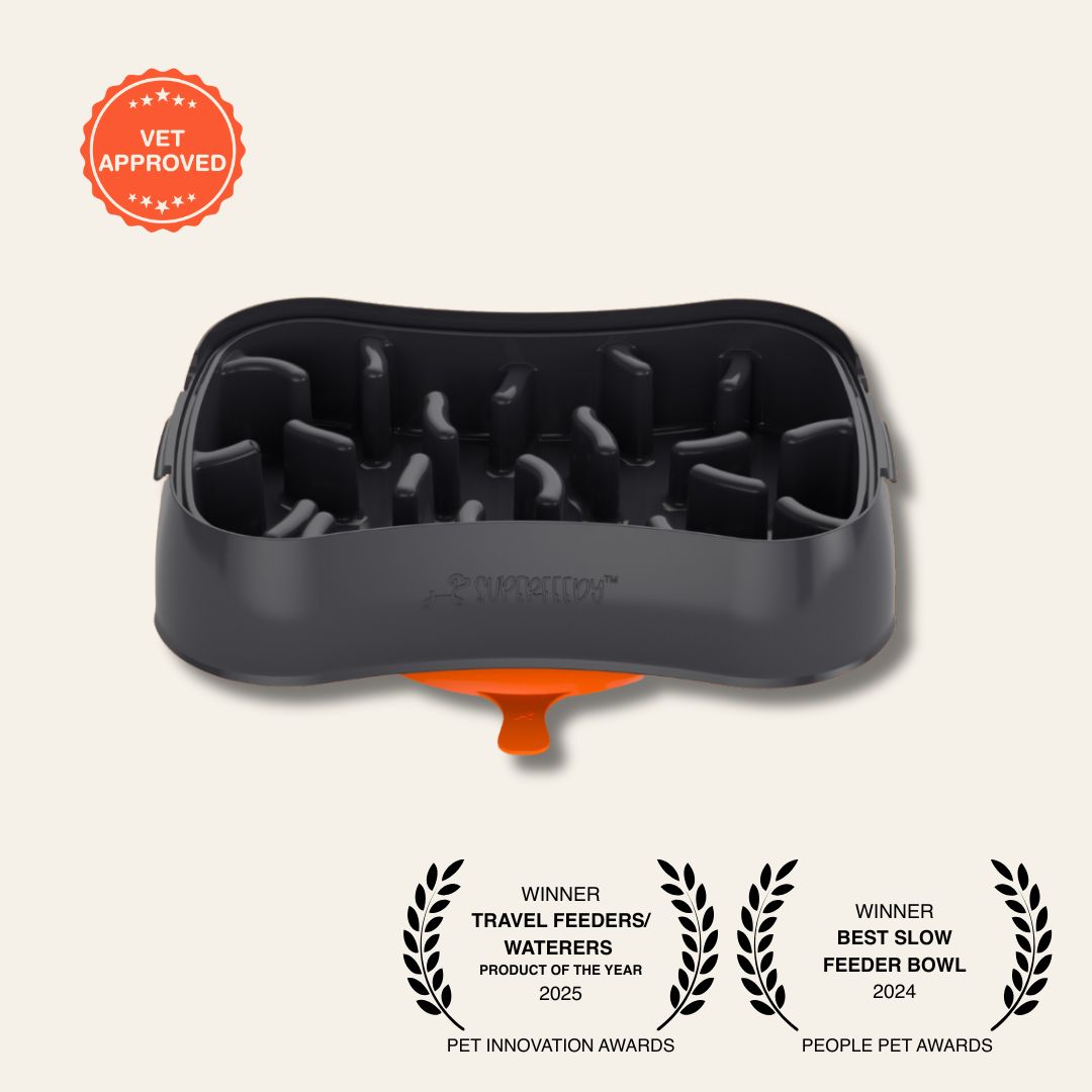 Super_Feedy_Grey Slow Feeder Dog Bowl