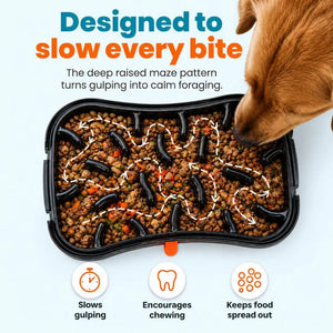 4-in-1 Slow Feeder Dog Bowl System | Super Feedy