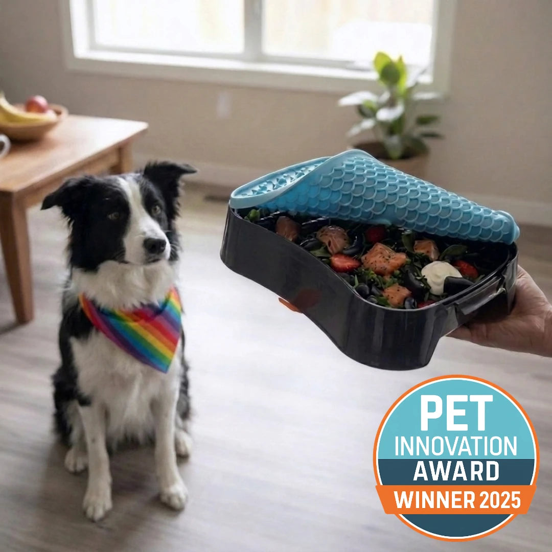 Dog eating from Super Feedy slow feeder
