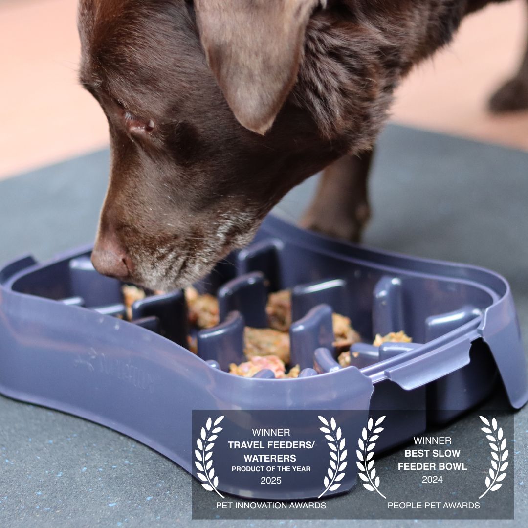 Super Feedy Slow Feeder Dog Bowl with Belle