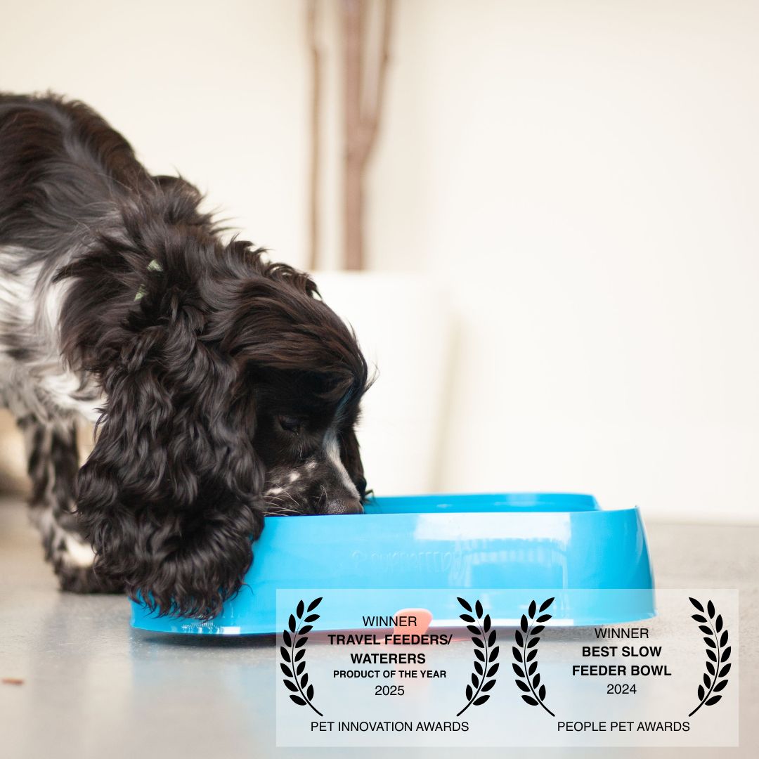 Super Feedy Slow Feeder with Marley