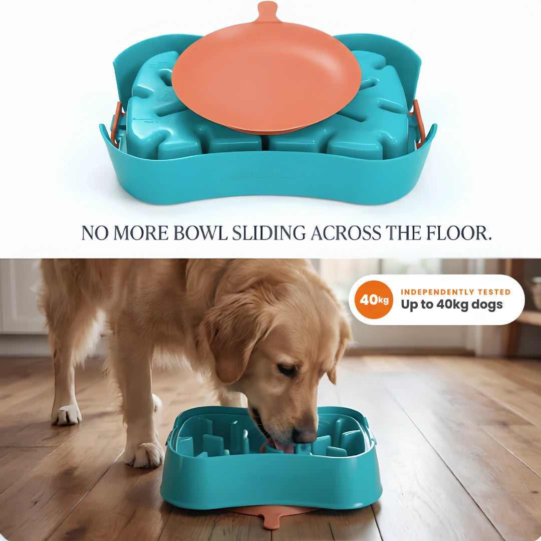 Super Feedy slow feeder bowl shown in a clean studio-style top panel and in use by a golden retriever on a wood floor in a bottom panel. 
