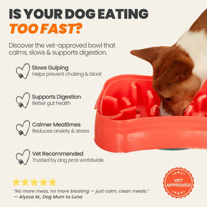 Dog eating from a super feedy slow-feeding bowl with text about its benefits and vet approval.