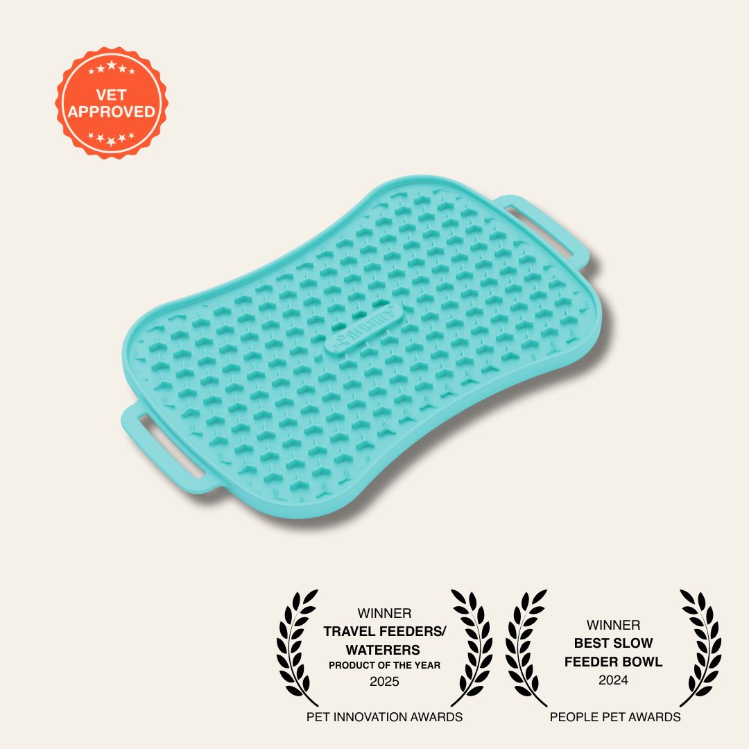 Super_Feedy_Teal Reversible Lick Mat