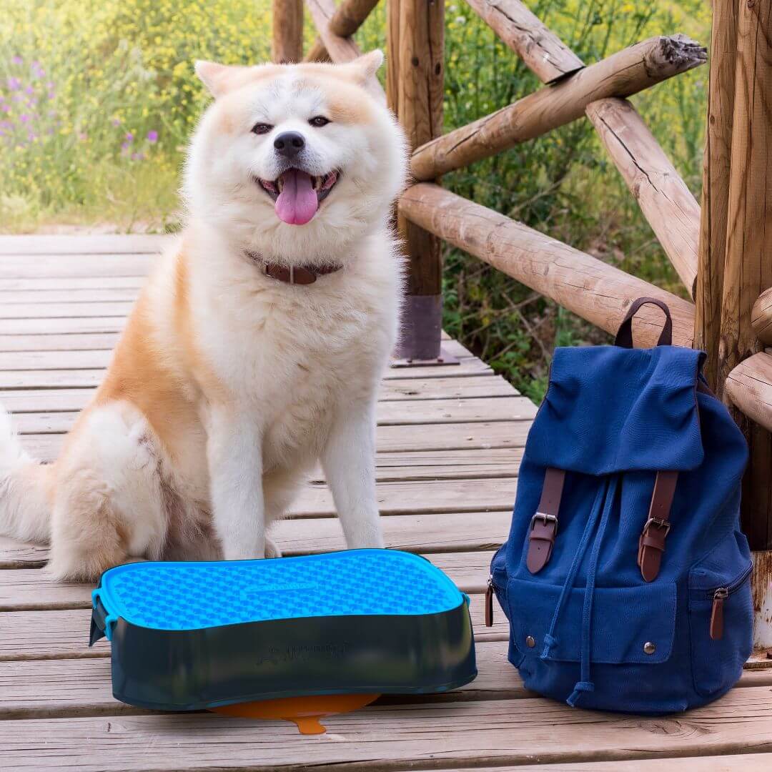 Dog With Super Feedy Travel Bowl