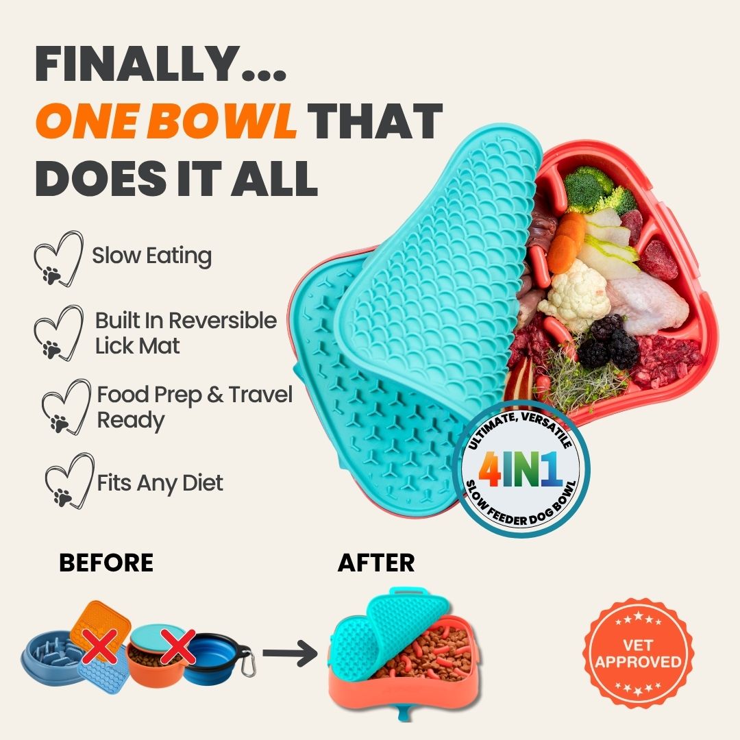 4-in-1 Slow Feeder Dog Bowl